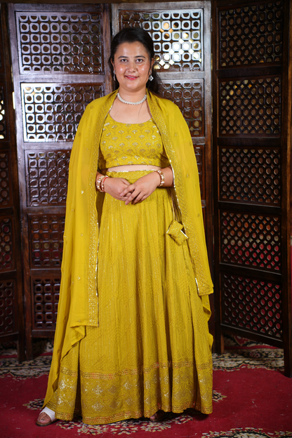 Olive Sequin Georgette Lehenga Set