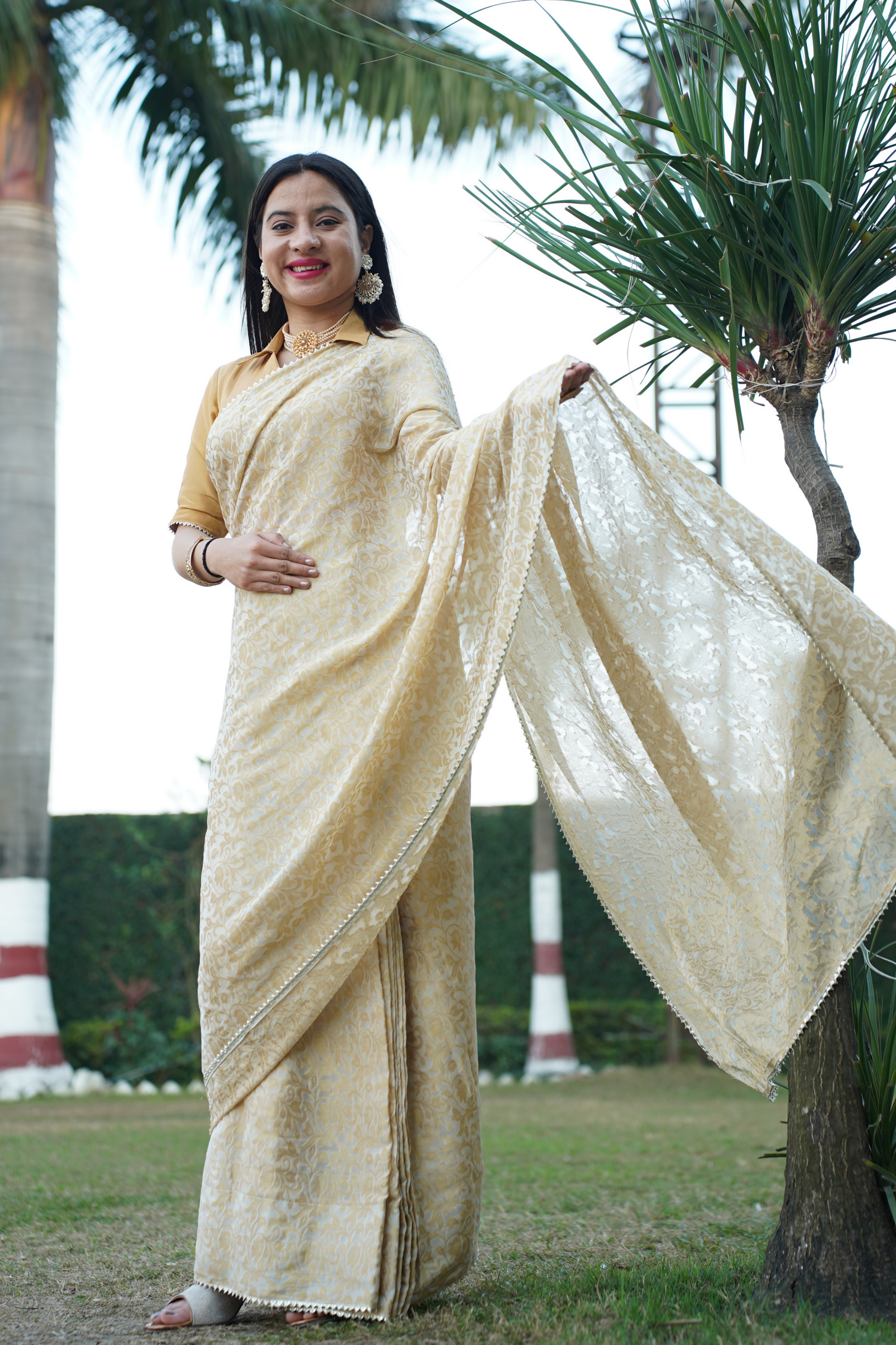 Plus Size Saree