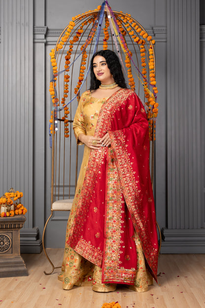 Women Plus Size Rajsi Vibhav Banarasi Silk Dress