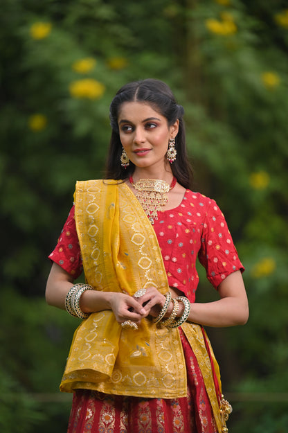 Women Plus Size Timeless Glow Banarasi Silk Lehenga